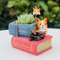 ROOGO 루고 화분 코기의 아침인사 공부 코기