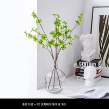 마취목 화병 배꼽 투명 유리 화병 목걸이 종진녹식 나뭇가지 거실 인테리어 식물 공장, ￥中 미디엄 사이즈 병+70CM 아날로그 링거 3개