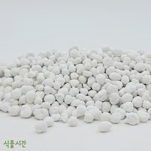 식물시간 하이포넥스 마감프K 대립 완효성 비료 알갱이 영양제, 500g