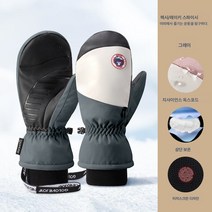 겨울 스키장갑 여자 전기 오토바이 라이딩 보온 아웃도어 스포츠 방풍 방수 터치 장갑 도매81459, SK27다크그레이, XL