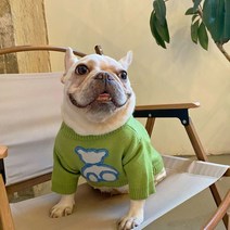 강아지옷 니트 스웨터 가을 겨울 명품옷