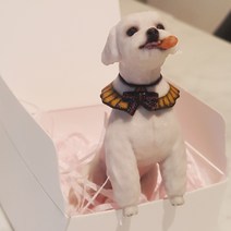 [픽픽] 반려동물 피규어