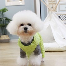 슈나우저 옷 소형견 올인원 산책룩 비숑 스피츠, 브릭 레드