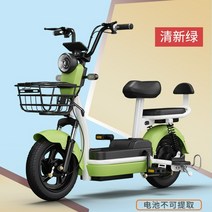가성비 전기 자전거 미니 장거리용 출퇴근 자출용 배달용, 배터리75-95km-상큼 그린, 옵션