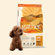 게더 강아지사료 프리에이커 치킨 레시피 사료 2.72kg, 게더 프리에이커 사료 2.72kg(6LB)