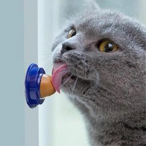 벽 부착 고양이 사탕 고양이간식 고양이먹이 냥이간식, 블루