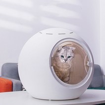 펫드라이룸 펫드라이기 애완 동물 건조 상자 전자동 지능형 헤어 드라이어 소음 강아지 건조기 용품 가정용 소형 개, [02] B