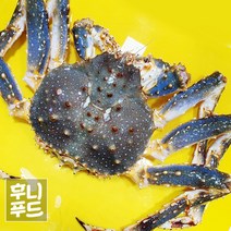 레드킹크랩 활킹크랩 3.5k내외 1마리 (활/찜 선택가능), 찜배송