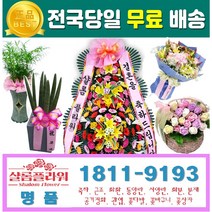 산호수봄꽃 화환배달 일산꽃집 서울꽃집 부산꽃집 제주꽃집 화이트데이선물 당일배송 경기꽃집 강원꽃집 인천꽃집 대구꽃집 대전꽃집 산호수화분주문 봄꽃산호수 봄꽃화분주문, 1.축하3단