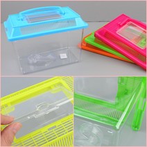 투명사육통 사육통 곤충사육통 곤충용품 중형