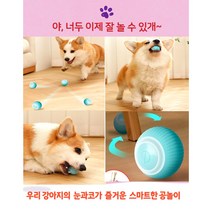 러브독 스마트 장난감 볼 강아지 장난감, 핑크