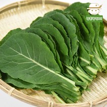[충주직송] 유기농 케일 600g/800g/1kg, 800g, 1개