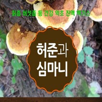 자연산 칡즙 버섯즙 도라지진액 야관문 우슬 등 심마니 약초꾼의 약초 건강 엑기스 10종, 우슬닭발진액, 60포(100ml)