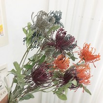 부카즈 긴 가지 방크샤 - 미모사 열매 인테리어 소품 조화 모던하우스 도매 꽃 작약 인조 나무, 오렌지