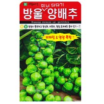 아람 방울양배추씨앗 500립, 단품
