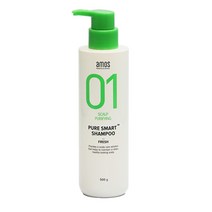 아모스 지성두피용 퓨어 스마트 샴푸 500ml 유분케어, 1개