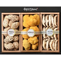 형지표고버섯 참나무 백화고 상황버섯 혼합1호 표고버섯 건강 프리미엄 명절 버섯 선물세트