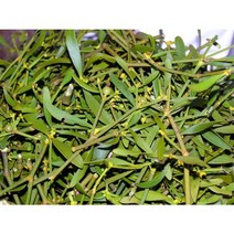 자연산 태백산 산약초 산지직송(참나무겨우살이 벌나무 헛개열매 유근피 야관문 우슬 ) 태백산의 귀한 산약초, 헛개열매(200g)