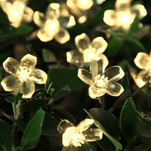 21세기트랜드 태양열 벚꽃 전구 줄조명 100구 12m, 황색