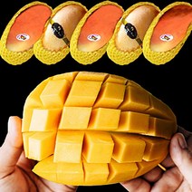 옹골찬 태국망고 항공운송 골드망고 2.5kg 5kg, 2.5kg / 특대과 (5~8과)