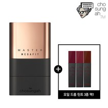 메가핏스틱파운데이션(글로우)+틴트(3종택1), 색상:2호(샌드베이지)+틴트(와인봉봉)+쇼핑백, 단품