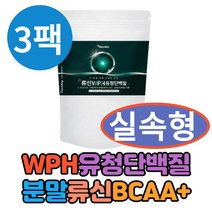WPC WPH 식물성 단백질 프로틴 분말 3팩 벌크업 헬창 멸치탈출 운동후 물에 타 먹는 흡수율높은 가루 류신 루신 로이신 BCAA BACC 완두단백질 유청 가수분해