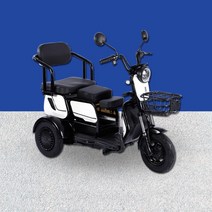 어르신전동차 농업용전기차 전기바이크 SI-땅콩, 상세 참조