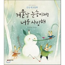 겨울날 눈송이처럼 너를 사랑해 : 아빠가 들려주는 감성 태교동화, 한빛라이프