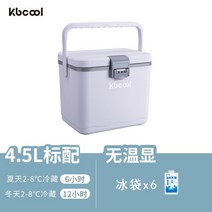 의료용 아이스박스 온도계 병원 약품상자, B. 4.5L표준 화이트 디스플레이+아이스 팩