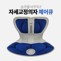 체어큐 바른자세의자 자세교정의자, 블루