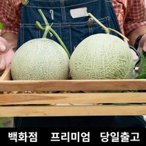[특등급선별] 멜론 2kg MELON 멜론가격 포포열매 세지메론 메론 머스크멜론 양구메론 메론가격 곡성메론 하미과메론 매론 멜론선물 명절과일선물세트 곡성멜론 과일멜론 과일추천