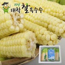 [바로발송] 껍질 벗긴 생물괴산대학찰옥수수/냉동, 15개 냉동괴산대학찰옥수수/찐거