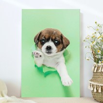 강아지 고양이 애완동물 반려동물 반려견 사진 방꾸미기 인테리어 캔버스 액자, 03잭러셀테리어
