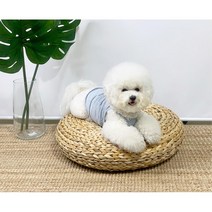 푸들 비숑 블루그레이색 강아지 민소매 옷 말티즈