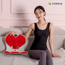 바른자세 지킴이 펠비신 체어 / 자세교정의자 좌식 보조의자 방석 등받이 슬림 체형, 블랙