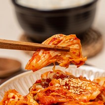 [100% 국내산] 전라도에서 갓 담은 알배기 겉절이 김치, 1개, 10kg