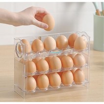 생활백서 에그락 싱싱 30구 계란 트레이, 투명