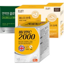 영국 다농원 비타민c 2000mg(2gx90T)3개월분 110750, 영국산100프로 다농원 비타민c 2000mg2gx90T
