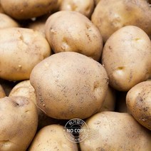 맛있는 수미감자 다이어트 알감자 박스 근채류 상품 감자 하지감자 햇감자 제철 1박스 두백감자 20kg내외, 단품, 단품