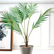 아침향기 아레카야자 조화 식물 인테리어 소품, 다섯 줄기
