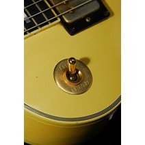 Randy Rhoads RhythmTreble Ring 토글 스위치 플레이트