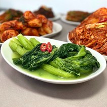 대박갓김치 전라도 여수 돌산 갓물김치, 2kg, 1개