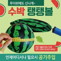 탱탱볼 [수박 ] 칼라 무지 삼색 돼지 물놀이 공 용품 비치볼 에어공, 돼지탱탱볼(핑크)