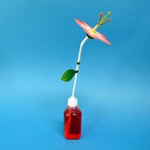 향기 나는 꽃 모형 만들기 1인/과학 실험 키트 교구 도구 만들기