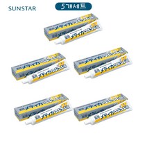 일본 선스타 썬스타 치약 소금치약 츠부츠부시오 치약 170g 5개 세트