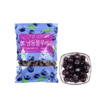 딜라잇가든 냉동 블루베리(칠레산) 1kg x 3, 3개