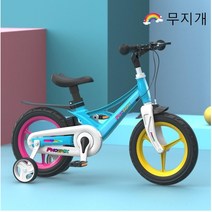 디와이(DY) Phoenix 아동 어린이 자전거 12 14 16인치 레드 무지개 블랙 핑크, 무지개+14인치