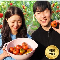 [토마토부부] 대저토마토 부산 농장직송 최상등급, 오리지널 대저 찰 토마토 2.5kg (대과)