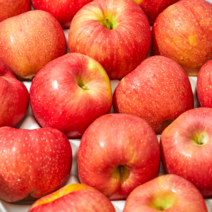 홍로 사과 햇사과 햇홍로 특품 가정용 2kg 4kg 경북 청송 안동, 못난이 홍로 사과, 2kg중과, 1개