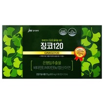 중외제약 징코 120, 1개, 120정